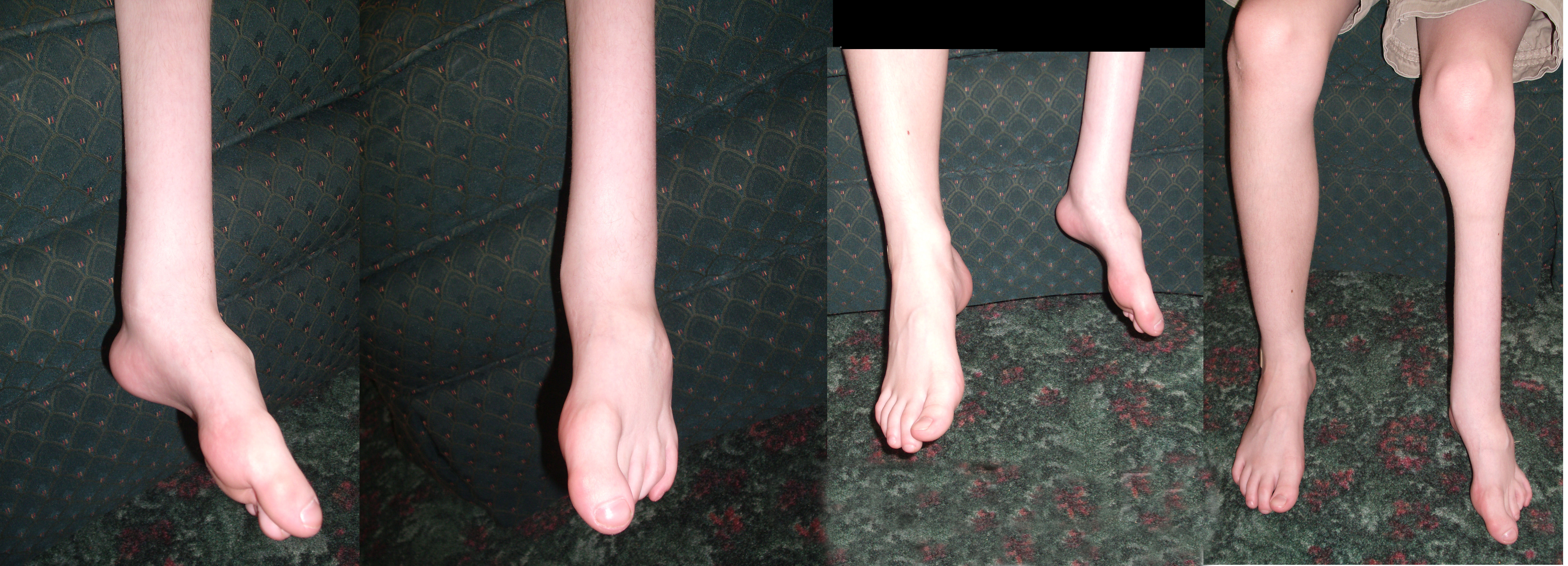 2011footpics.jpg